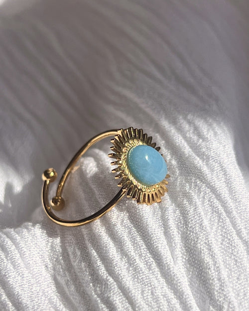 Anillo Horizonte