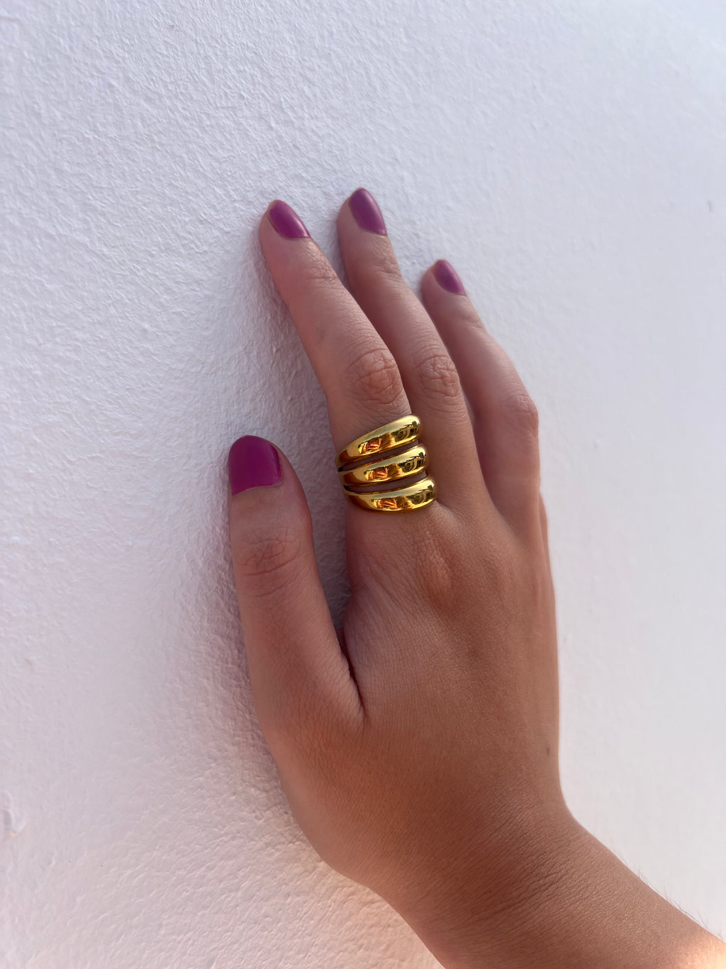 Anillo Marejada